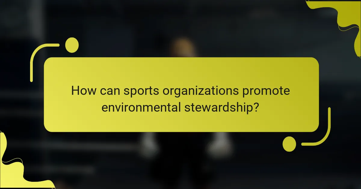 How can sports organizations promote environmental stewardship?