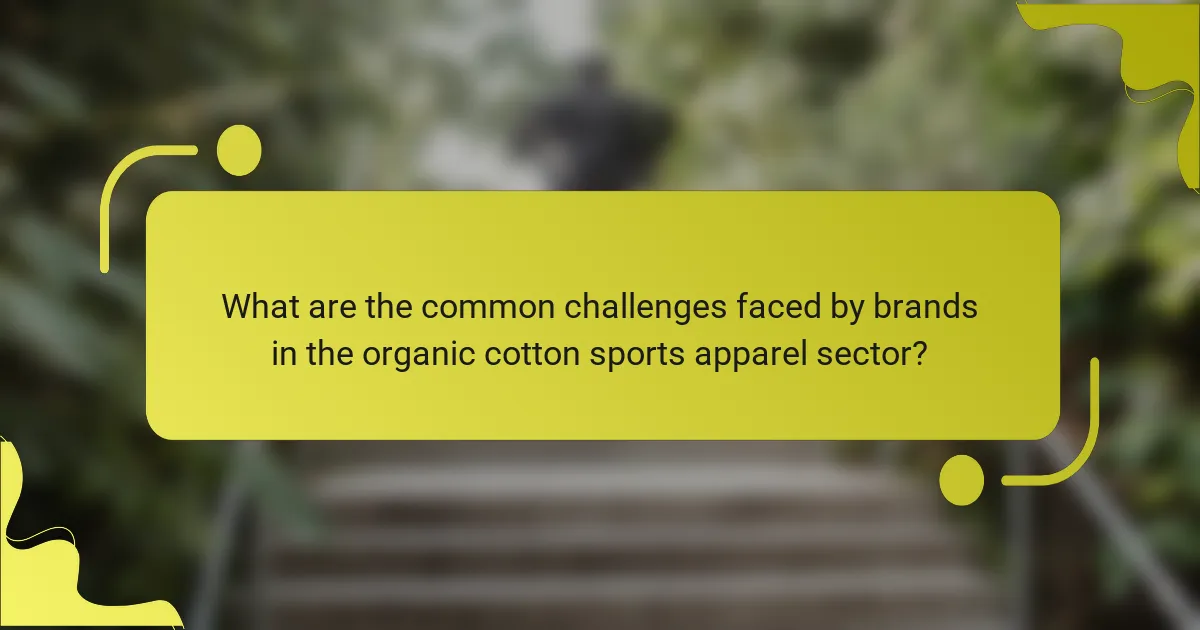 What are the common challenges faced by brands in the organic cotton sports apparel sector?