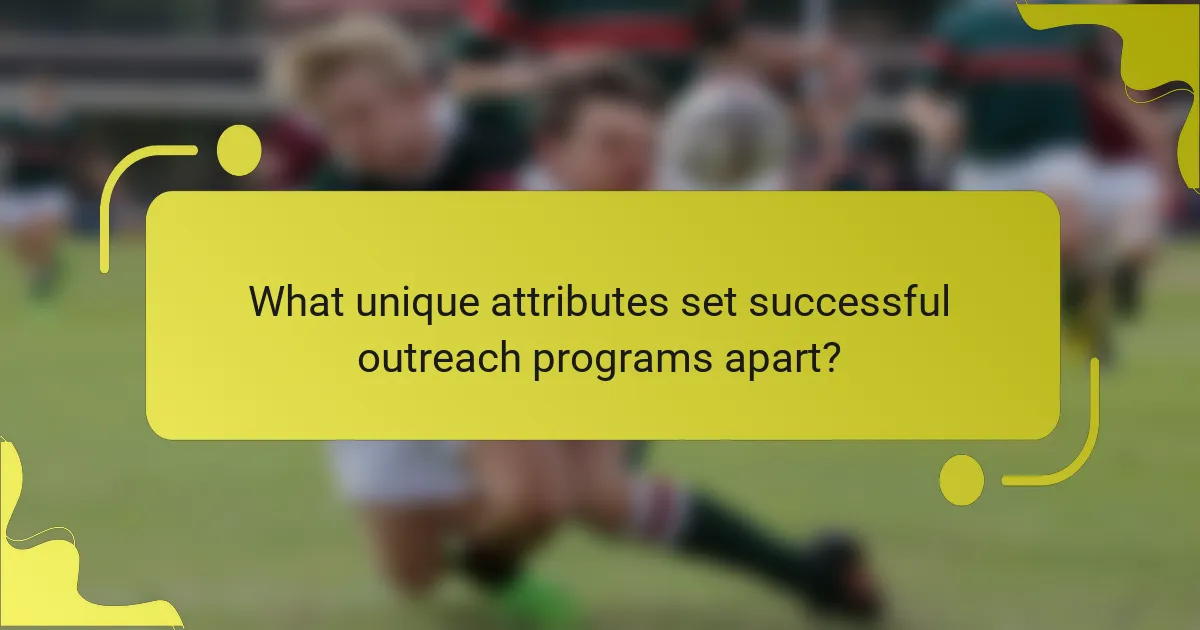What unique attributes set successful outreach programs apart?