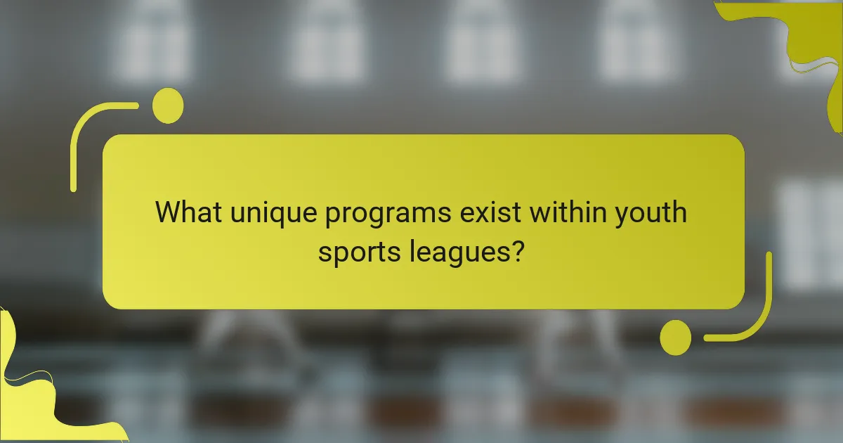 What unique programs exist within youth sports leagues?