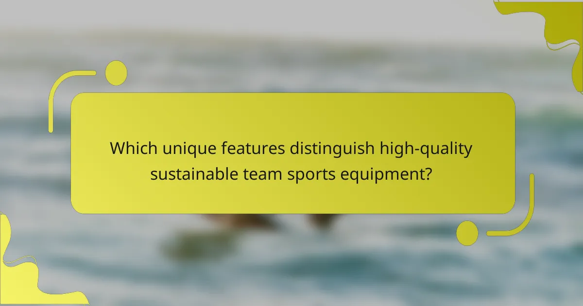 Which unique features distinguish high-quality sustainable team sports equipment?